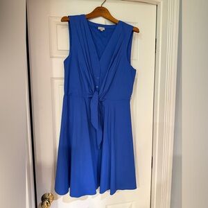 Daniel Cremieux Blue Sleeveless Front Tie Mini Dress